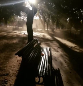 Un banco de plaza, con rayos de sol a través de árboles.