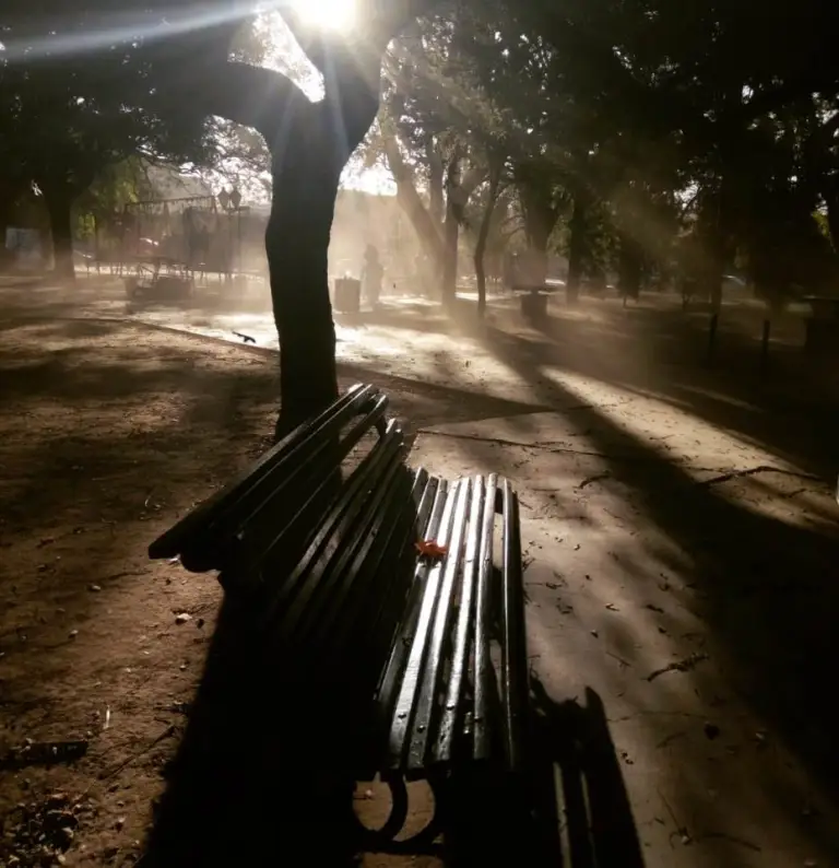 Un banco de plaza, con rayos de sol a través de árboles.