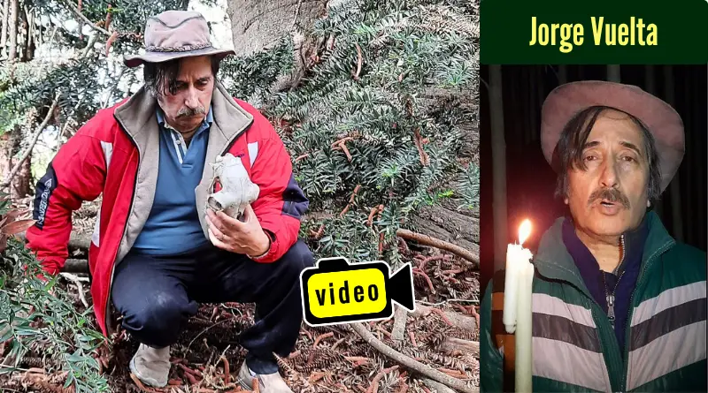 Jorge Vuelta, con cráneo de oveja, en un bosque de araucarias.